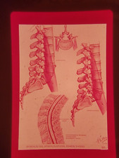 Xas16 35mm slide for sale  Metamora