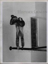 1961 press photo for sale  Memphis