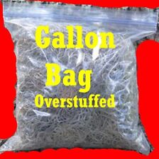 Organic spanish moss for sale  Land O Lakes
