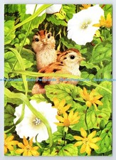 D337268 pheasant chicks for sale  WARLINGHAM
