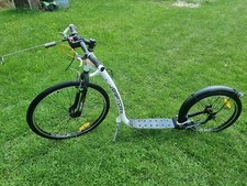 Dog scooter sulov gebraucht kaufen  Bremervörde
