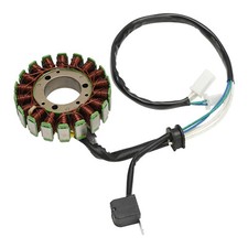 Lichtmaschine stator linhai gebraucht kaufen  Frankfurt am Main