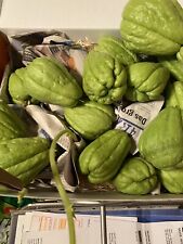 Chayote frucht zum gebraucht kaufen  Donaueschingen