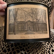 Vintage PRINCETON UNIVERSITY Antigo Nassau Metal Pequena Mesa Lixeira/Plantadeira comprar usado  Enviando para Brazil