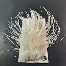 Cream white rooster for sale  Boiling Springs
