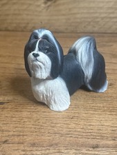 North light shih for sale  AYLESFORD