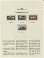 Wilde dressierte pferde gebraucht kaufen  Schwalmtal