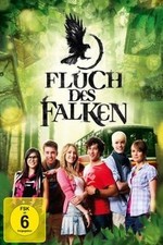 Fluch falken dvds gebraucht kaufen  Berlin