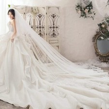 Wedding veils cathedral for sale  Hebron