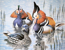 Mandarin ducks pond. for sale  NELSON