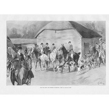 Devon somerset staghounds for sale  GLASGOW