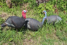 Turkey foam collapsible for sale  Willow
