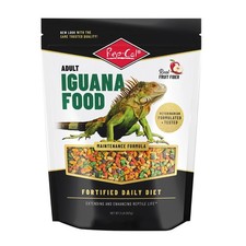 Adult iguana food for sale  Henderson