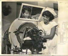 1954 press photo for sale  Memphis
