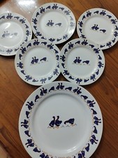 Set piatto grande usato  Caserta