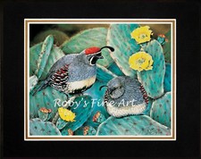 Matted gambel quail for sale  Redding