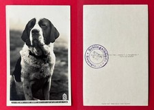 Walter hahn foto gebraucht kaufen  Dresden