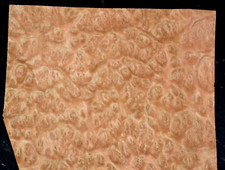 Eucalyptus burl raw for sale  Louisville