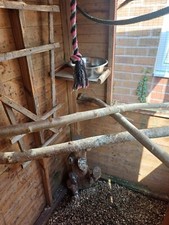 Wooden outdoor bird for sale  STALYBRIDGE