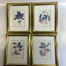 Set botanical art for sale  Newark