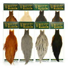 Whiting hebert hen for sale  SANDBACH