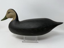 Shourds black duck for sale  Pasadena