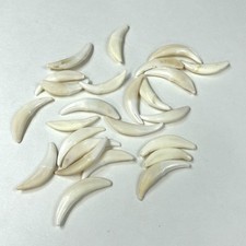 Lot cracked coyote for sale  Waseca