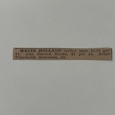 White holland turkey for sale  Hinckley