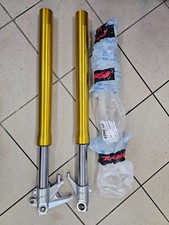 Forcelle evo fantic usato  Italia
