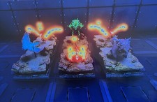 Ark ascended pve for sale Ark ascended pve for sale  ROSSENDALE