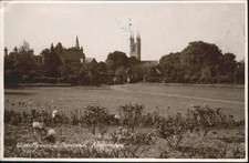Ashford kent gebraucht kaufen  Deutschland