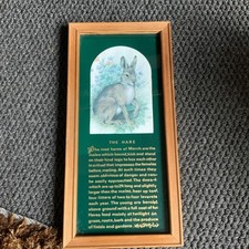 Lovely print hare for sale  NOTTINGHAM