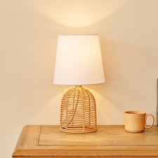 Globe electric rattan for sale  USA
