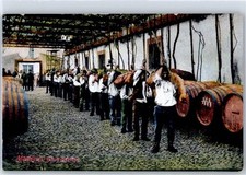 51097582 madeira weinherstellu gebraucht kaufen  Eimeldingen