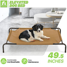 Elevated dog beds for sale  USA