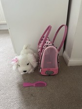 Pucci pups puppy for sale  BRENTWOOD