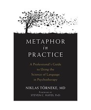 Metaphor practice professional gebraucht kaufen  Trebbin