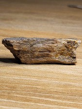 Beautiful dinosaur fossil for sale  SOLIHULL