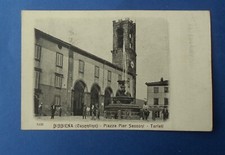 Cartolina bibbiena casentino usato  Firenze