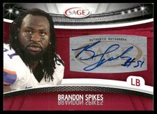 Brandon spikes 2010 for sale  Rapid City
