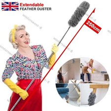 2.5m extendable handle for sale  DUNSTABLE