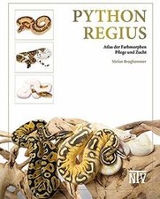 Python regius atlas gebraucht kaufen  Berlin
