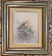 Vintage bruce bird for sale  Carmichael