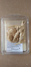 Figurine peindre dragon d'occasion  Roumazières-Loubert