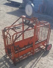Ritchie lamb pig for sale  BUXTON