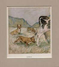 Corgi vernon stokes for sale  SPALDING