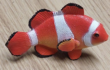 Clown fish sealife for sale  SITTINGBOURNE