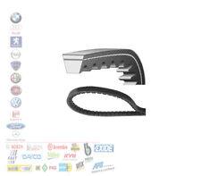 Cinghia alternatore trapezoida usato  Italia