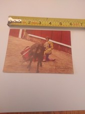 picture bull fight for sale picture bull fight for sale Inverness