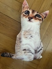 kissen katze gebraucht kaufen kissen katze gebraucht kaufen München